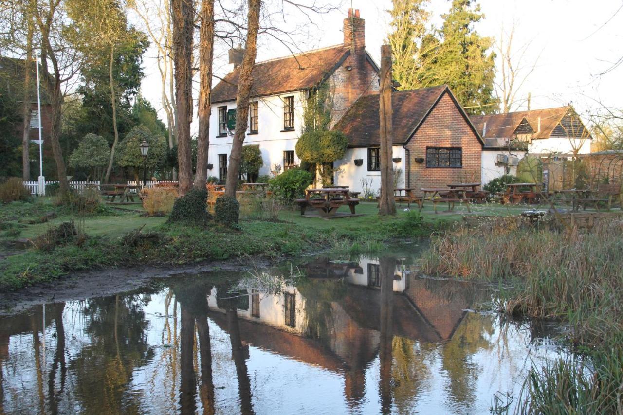 Lane End Cottage Ovington  Dış mekan fotoğraf