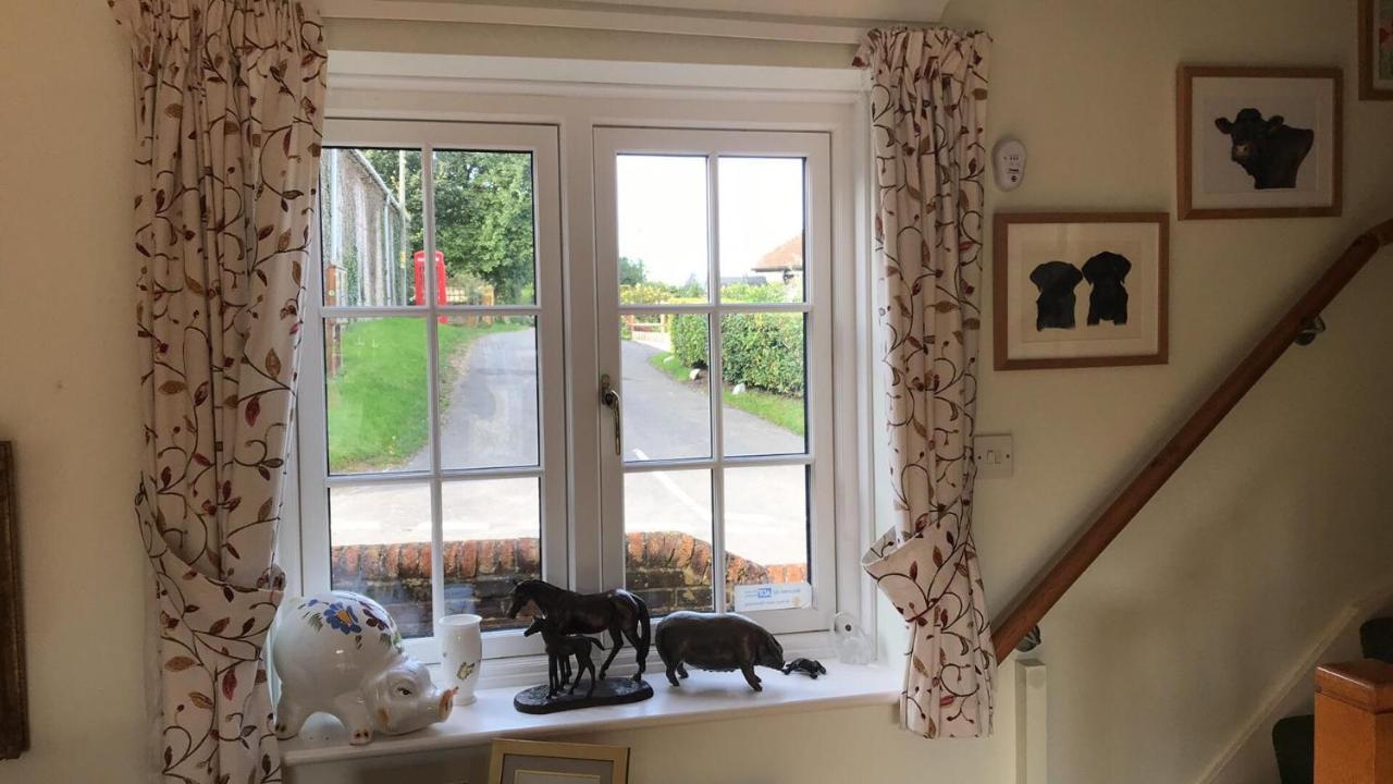 Lane End Cottage Ovington  Dış mekan fotoğraf