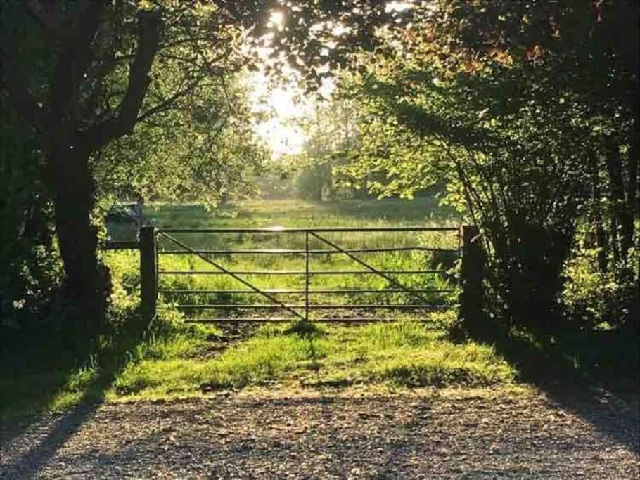 Lane End Cottage Ovington  Dış mekan fotoğraf